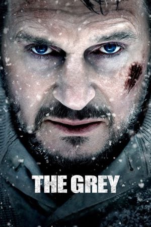 ดูหนังออนไลน์ฟรี The Grey (2011) ฝ่าฝูงเขี้ยวสยองโลก